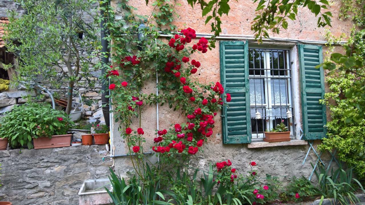 Carate Urio B&B "A Casa Di Camilla" المظهر الخارجي الصورة